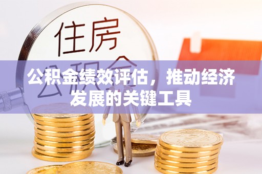 万山公积金绩效评估，推动经济发展的关键工具