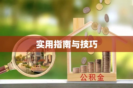 万山实用指南与技巧