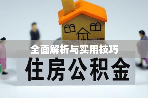 万山全面解析与实用技巧