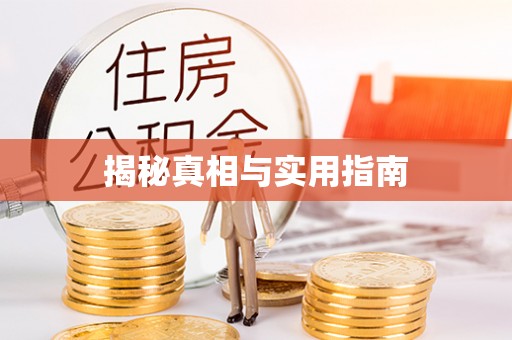 万山揭秘真相与实用指南