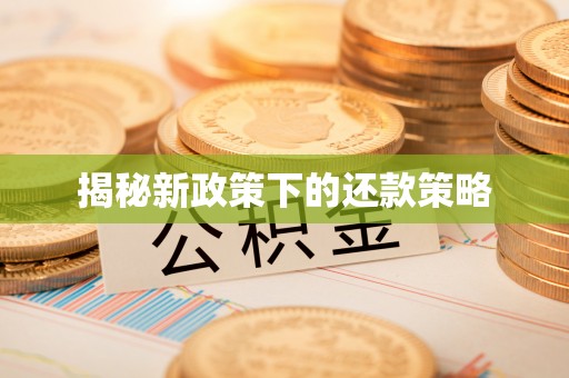 万山揭秘新政策下的还款策略