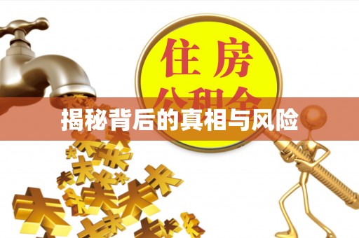万山揭秘背后的真相与风险