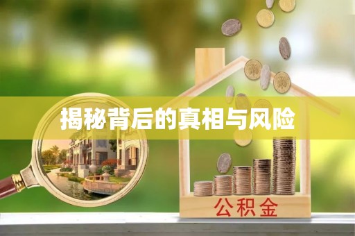 万山揭秘背后的真相与风险