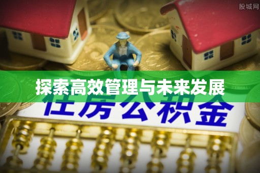 万山探索高效管理与未来发展