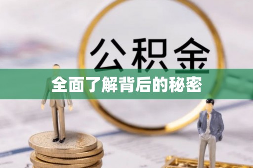 万山全面了解背后的秘密