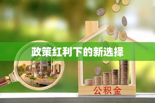 万山政策红利下的新选择