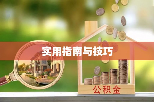 万山实用指南与技巧