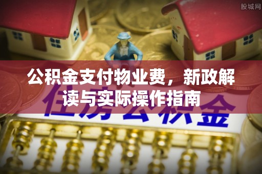 万山公积金支付物业费，新政解读与实际操作指南