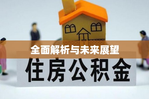 万山全面解析与未来展望