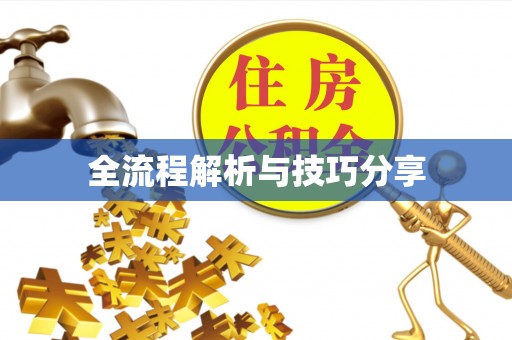 万山全流程解析与技巧分享