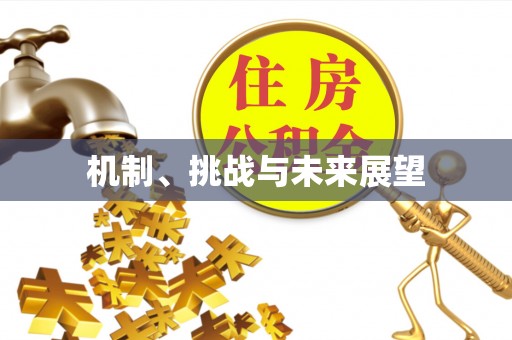 万山机制、挑战与未来展望